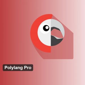Polylang Pro WordPress Dil Çeviri Eklentisi